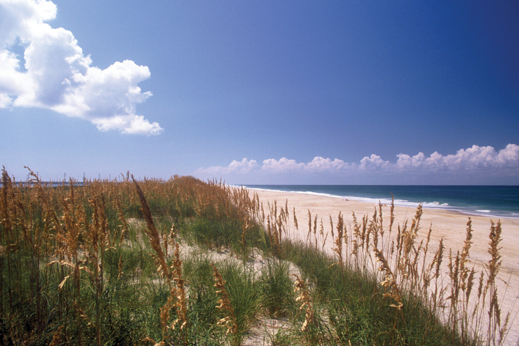 beach - Outer Banks Ace